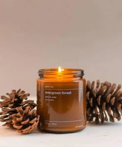 Gold + Ivy - Faire Vendor Evergreen Forest Soy Candle By Gold + Ivy Accessories