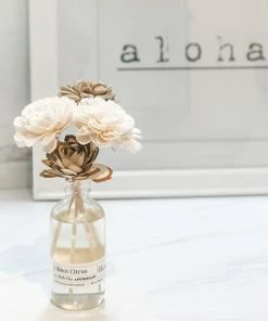 Bella Vita Apothecary The Full Bouquet Reed Diffuser - Lilikoi Citrus